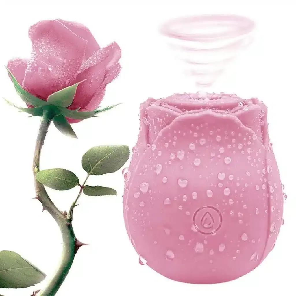 jouet sexuel / sex toy rose