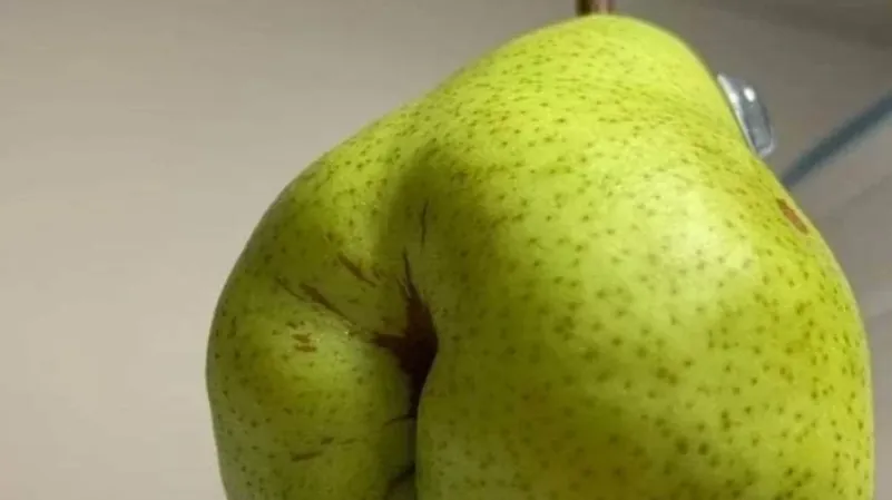gros plan d’une poire, comment s’étirer anal
