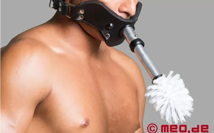 Harnais pour brosse de toilettes BDSM, nettoyage BDSM, idées de tâches BDSM, chasteté masculine