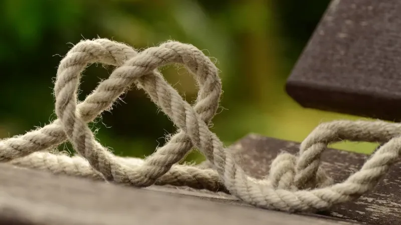 Auto-servitude, corde de bondage, shibari,