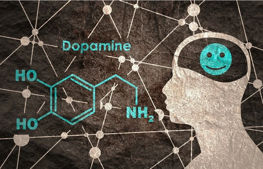 Illustration : graphique ou image symbolisant la dopamine et le sexe
