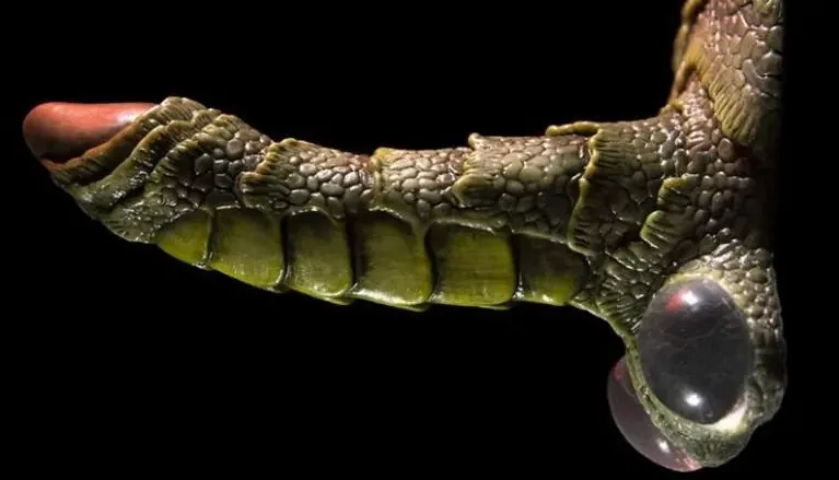 Godemichés de monstres à thème fantastique, godemichés Erptile, où acheter des godemichés de monstre 