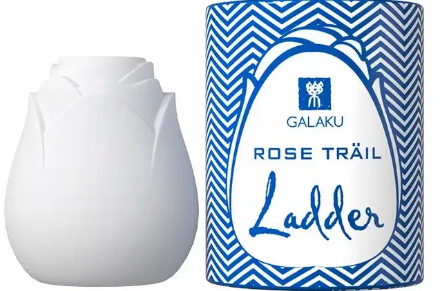 sextoys de luxe en forme de rose, sextoy en forme de rose avec compatibilité applicative