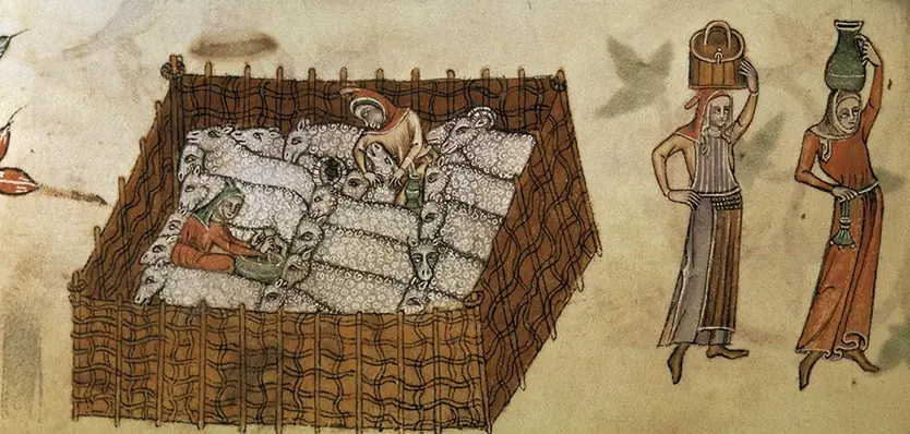 Peinture médiévale d'agriculteurs et de moutons