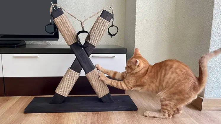 Un griffoir pour chat en forme de croix BDSM (utilisation humoristique)