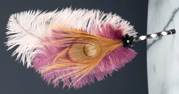 Ostrich and Peacock Tickler