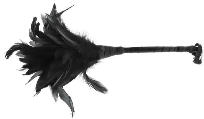 Frisky Black