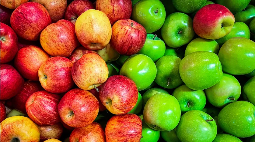 Alimentation